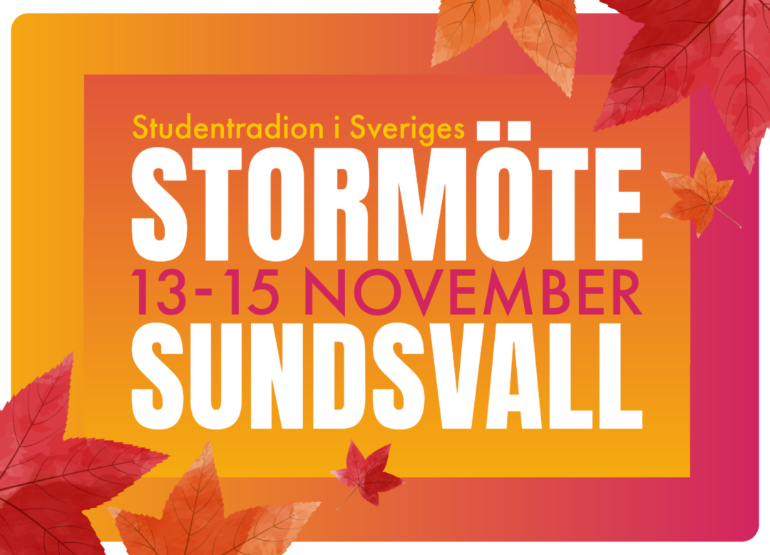 Vi laddar upp för stormöte!